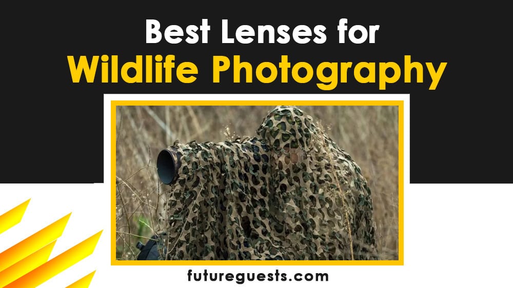 best lenses for wildlife photography - Canon Nikon